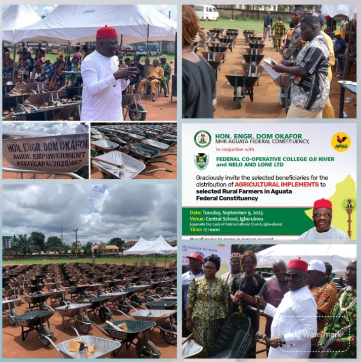 Anambra Reps Member Explains Why He Empowered Constituents with Wheelbarrows, Hoes, Machetes, Faults Critics