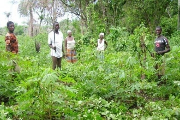 Idu Obì n'Ala Igbo: Oge Mbụ Na Oge Ugbua