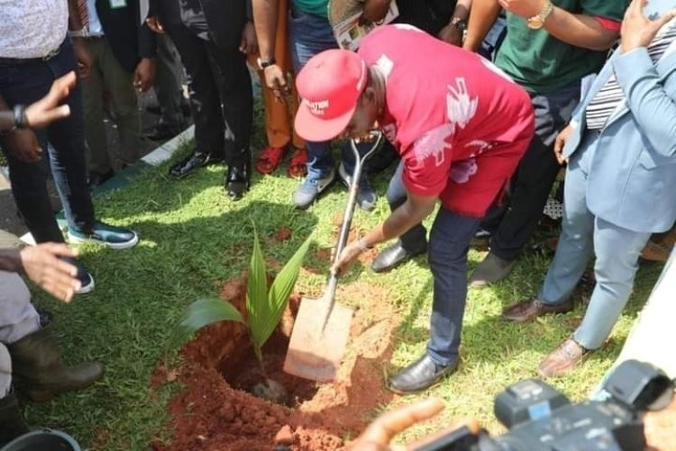 Gọvanọ Soludo Agbapeela Ahọ Ọrụ Ugbo n'Anambra