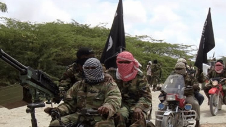 Boko Haram Invades Adamawa Community, Kills 5, Abduct Many Women