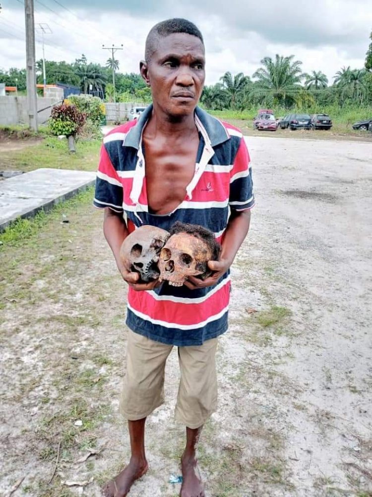 Delta Police Arrest Suspected Ritualists, Native Doctor with Two Human Skulls