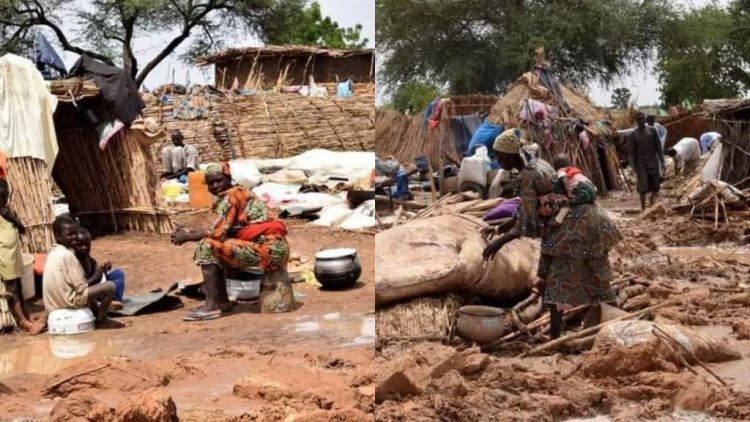 Heavy Downpour: 173 households Sacked in Yobe