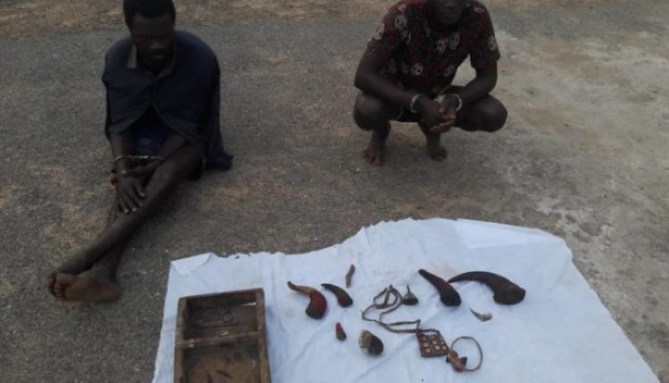 Police Arrest Two Suspected Ritualists With Fresh Human Head