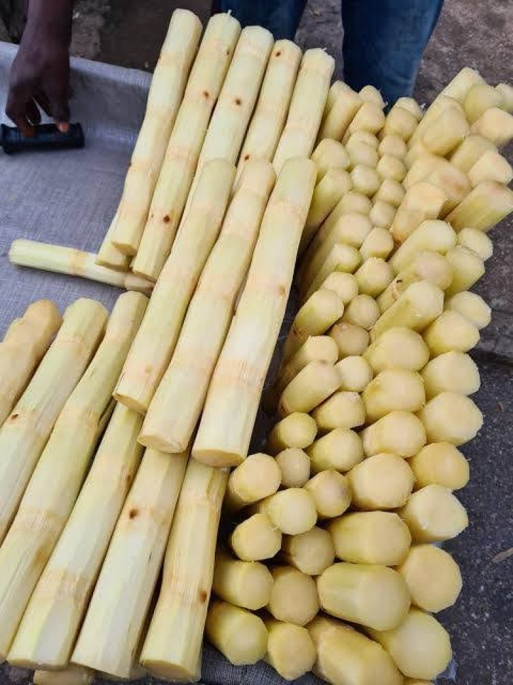 13-Year-old Sugarcane Seller Stabs Man to Death with Sugarcane Knife