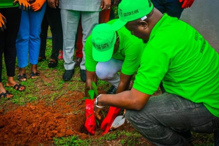 Anambra Marks 2022 World Environment Day, Flags Off One Million Tree Planting