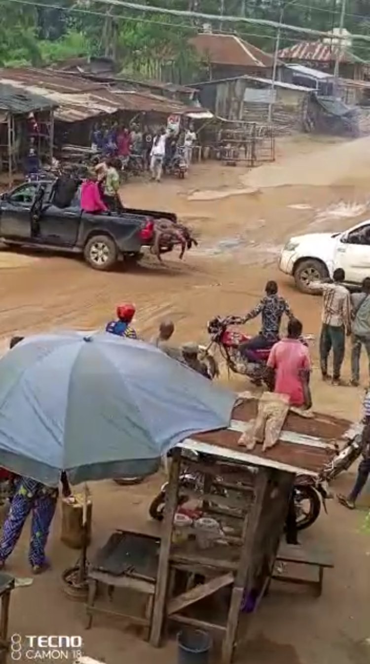 Video: Corpses Paraded at Ihiala Were Not Security Personnel —Police Clear