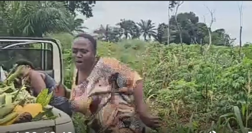 Soludo's Commissioner Dances ‘Gwo Gwo Gwo Gwo’ After Bountiful Harvest