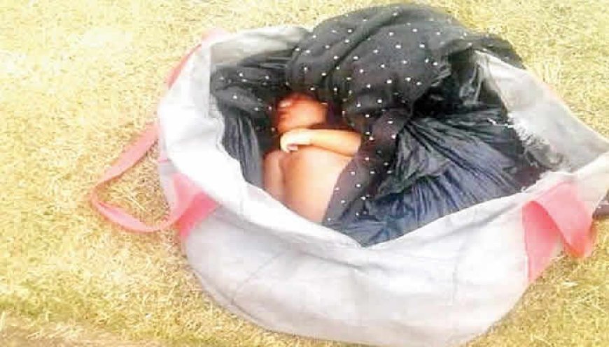 3rd Abandoned Baby Recovered in Anambra in Two Months, Covered with Dried Plantain Leaves