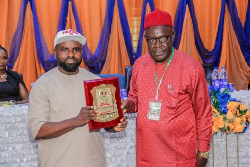 Green Energy Solution: Anambra Power Commissioner, Nnaji, Ozigbo, Others Honoured at Int'l Conference